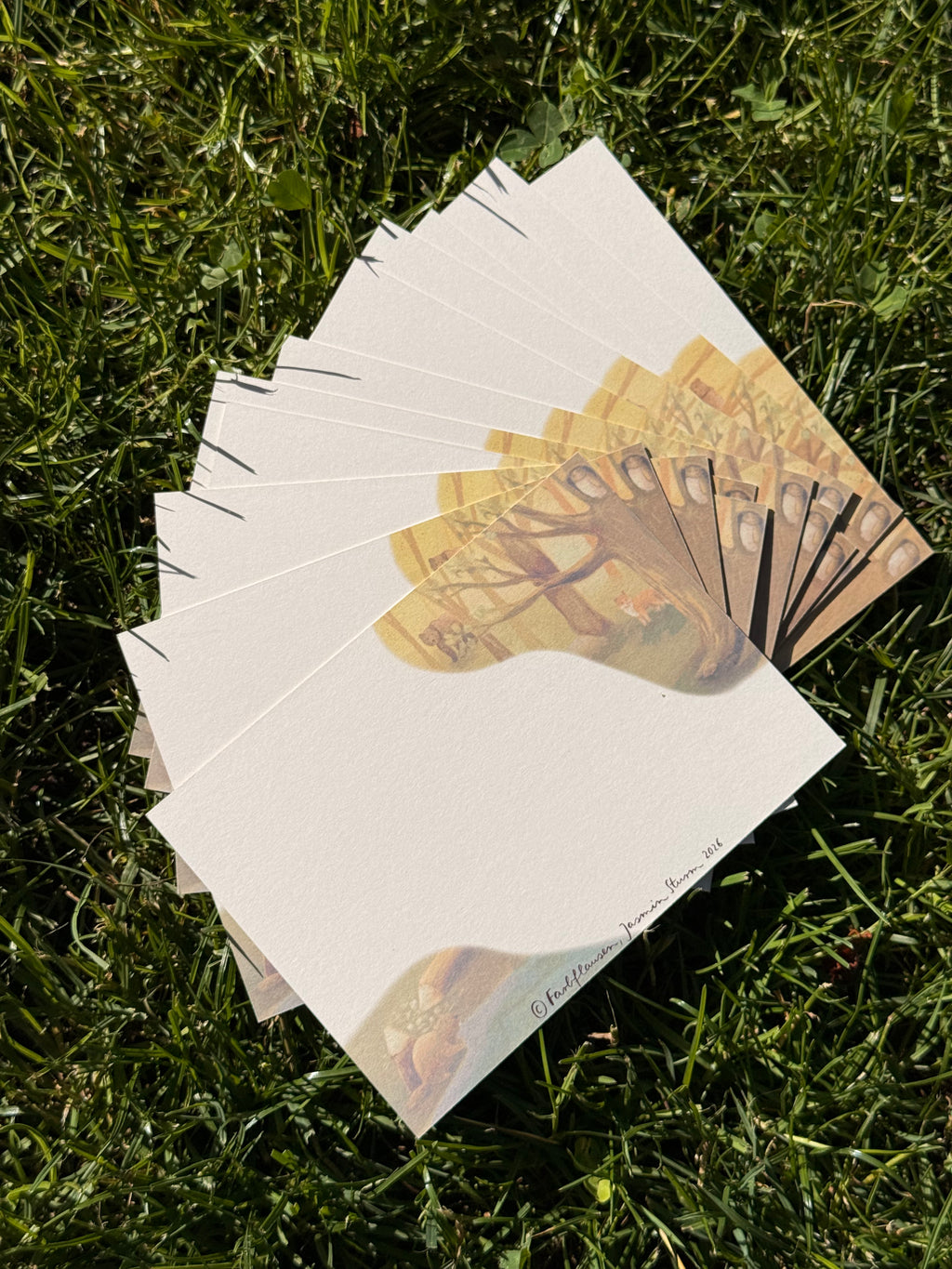 Postkartenset "Tierbotschaften" | Ein liebevoll illustriertes 12-teiliges Affirmationsmotiv mit warmen Farben, vielen Details und stärkenden Gedanken