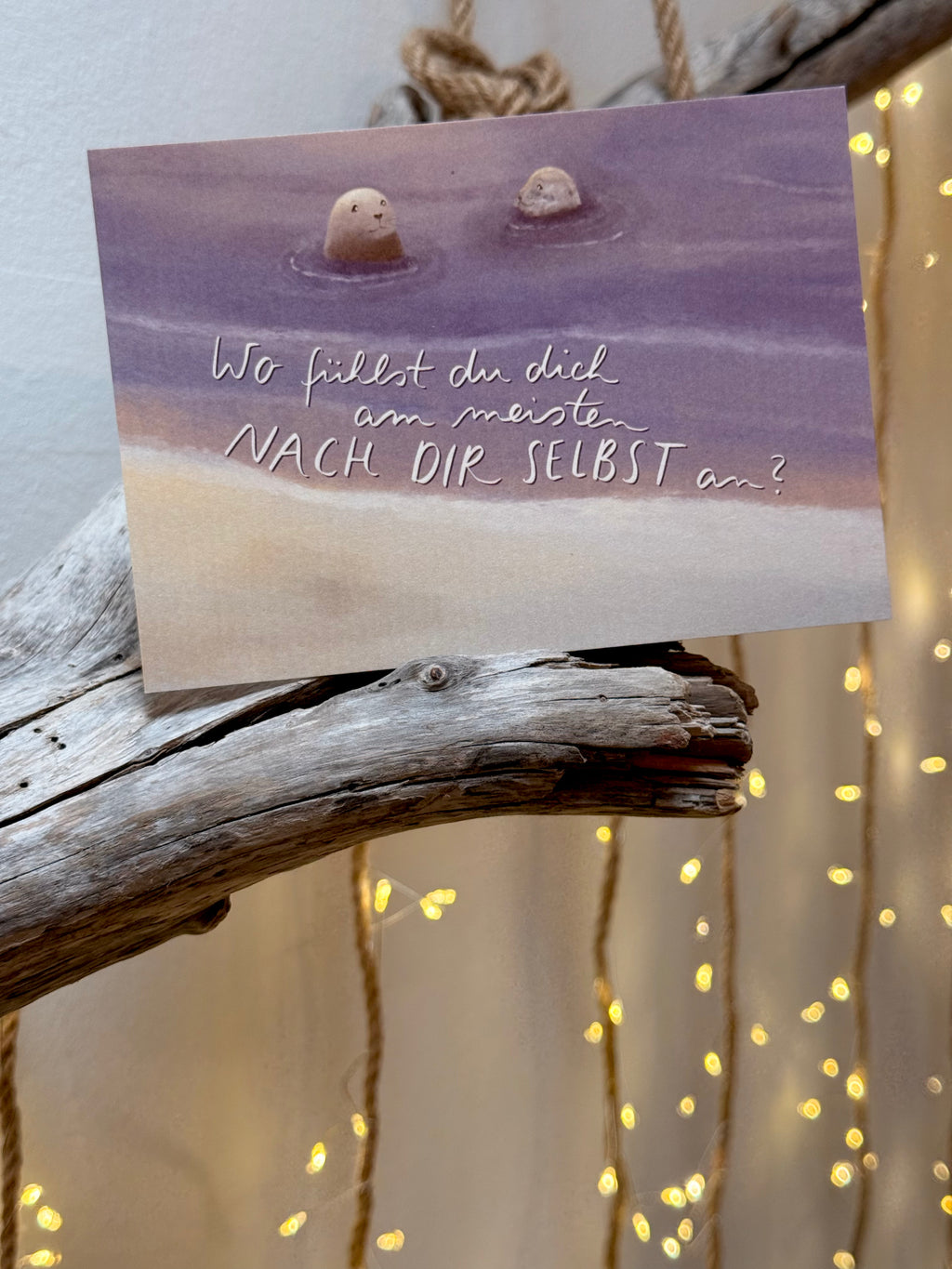 Postkarte „Robben“ | Meeresbotschaften 12
